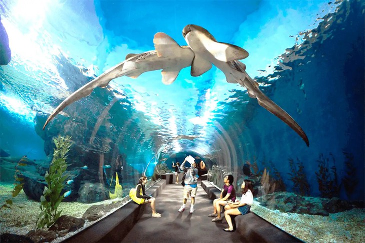 Chia sẻ kinh nghiệm du lịch tự túc Bangkok - Ảnh 4.