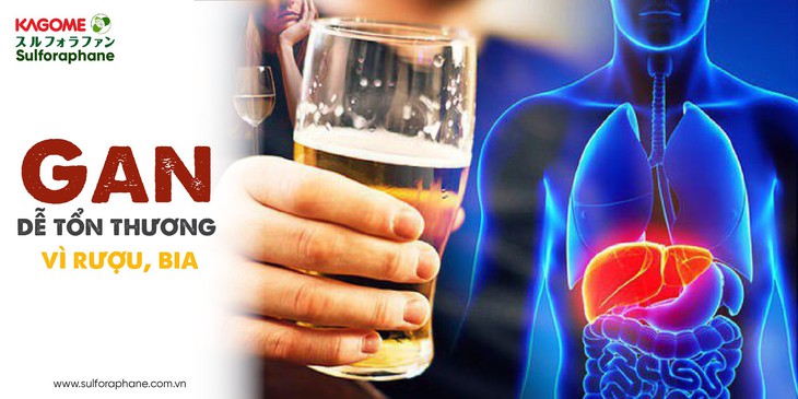 Hỗ trợ cải thiện chức năng gan với hợp chất "vàng" tự nhiên trong bông cải xanh - Ảnh 1.