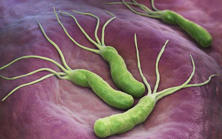 Thuốc trị viêm loét dạ dày do vi khuẩn H.Pylori