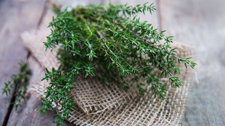 7 loại rau gia vị hỗ trợ trị cúm A hiệu quả - Ảnh 2.