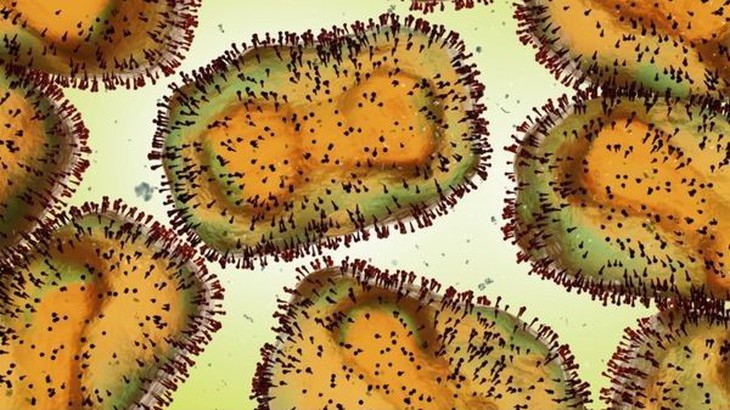 Đậu mùa khỉ: Có vaccine và thuốc kháng virus đặc trị - Ảnh 1.