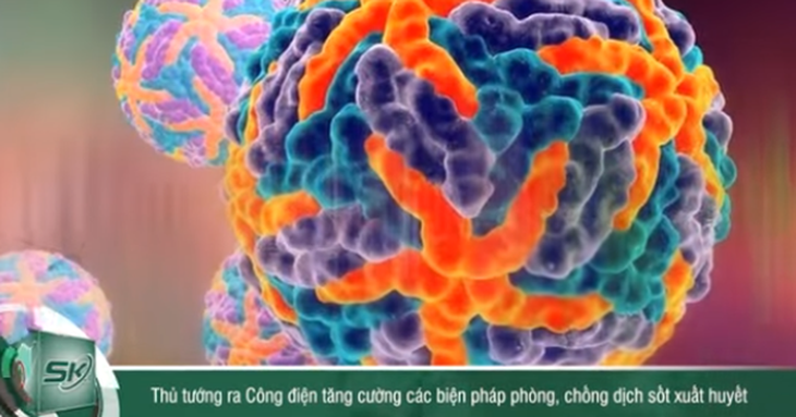 Dịch sốt xuất huyết phức tạp, Thủ tướng ra công điện tăng cường các biện pháp phòng, chống