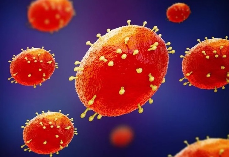 Virus đậu mùa khỉ có lây qua nụ hôn hay không? - Ảnh 3.