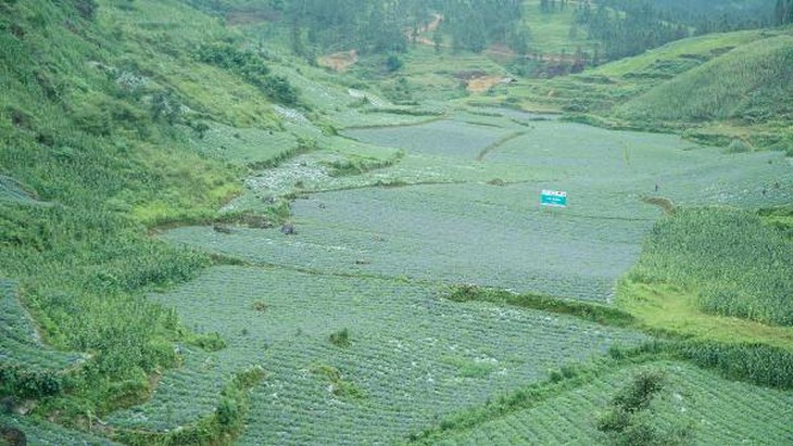 photo-1659072642098