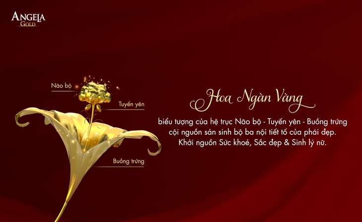 "Chìa khóa" điều hoà nội tiết tố nữ sau tuổi 25: Hệ trục vàng và những điều cần biết - Ảnh 1.