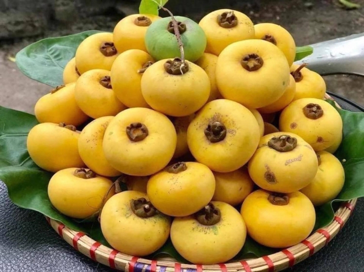 Loại quả "gây thương nhớ" vào mùa, giá chát gần 200.000 đồng/kg vẫn cháy hàng - Ảnh 1.