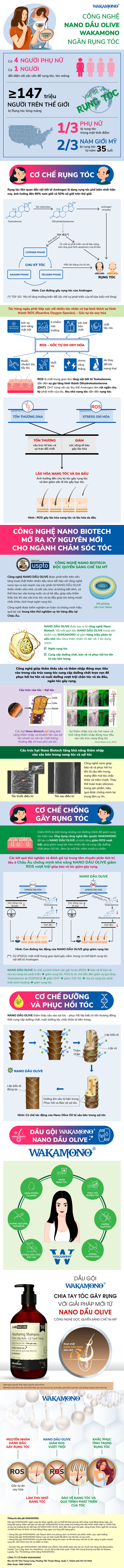 Công nghệ nano Dầu Olive Wakamono ngăn rụng tóc  được chứng minh hiệu quả vượt trội tại châu Âu - Ảnh 1.