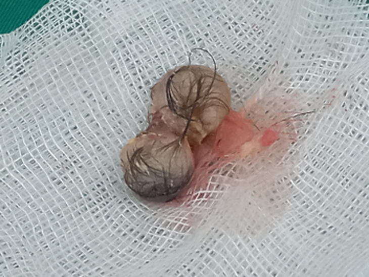 photo-1657086769323