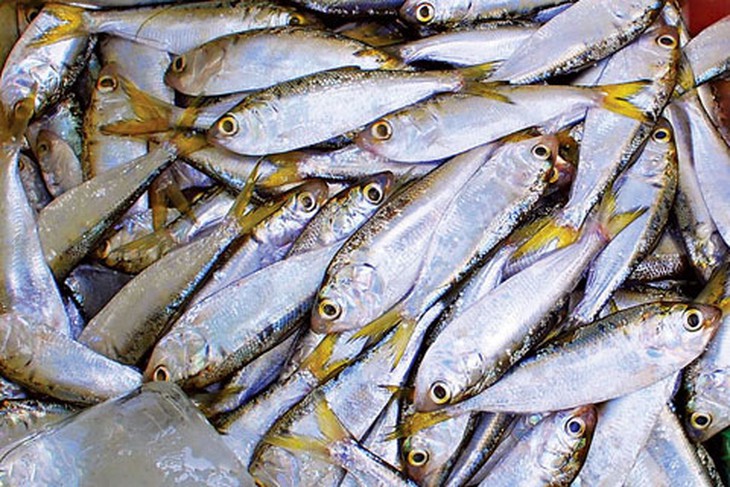 6 thực phẩm giàu omega-3 bạn nên ăn thường xuyên - Ảnh 3.