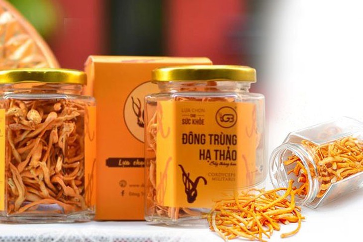 Mua đông trùng hạ thảo TP.HCM ở đâu uy tín, chất lượng? - Ảnh 2.