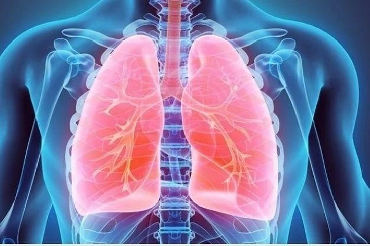Bệnh lupus ban đỏ và cách hỗ trợ giảm nguy cơ tiến triển từ thảo dược - Ảnh 2. Bệnh lupus ban đỏ và cách hỗ trợ giảm nguy cơ tiến triển từ thảo dược - Ảnh 2.