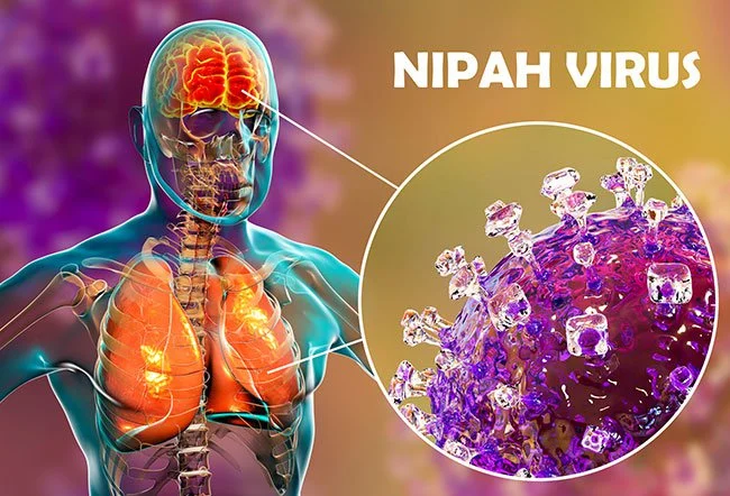 Cảnh giác sự 'tấn công' của virus Henipavirus khi chưa có vaccine phòng bệnh - Ảnh 2. Cảnh giác sự 'tấn công' của virus Henipavirus khi chưa có vaccine phòng bệnh - Ảnh 2.