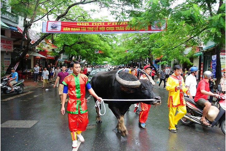 Hải Phòng: Lễ hội chọi trâu Đồ Sơn 2022 khởi động trở lại với nhiều nét mới - Ảnh 2. Hải Phòng: Lễ hội chọi trâu Đồ Sơn 2022 khởi động trở lại với nhiều nét mới - Ảnh 2.