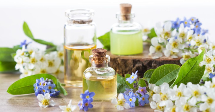 Năm mùi hương êm dịu có thể giúp thư giãn tâm trí - Ảnh 1.