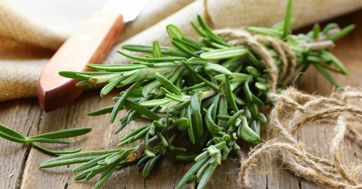 Năm mùi hương êm dịu có thể giúp thư giãn tâm trí - Ảnh 4.