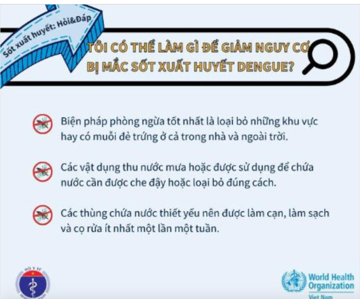 TP.HCM đã có tổng cộng 17 ca tử vong do sốt xuất huyết - Ảnh 1.