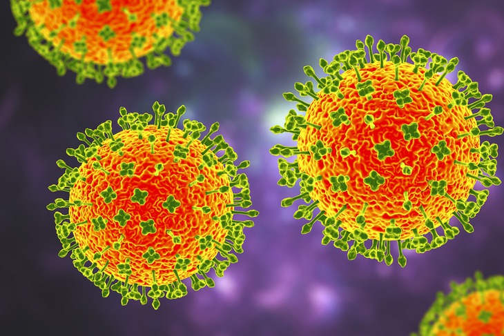 Những điều mới chỉ biết đến về virus Langya lây lan từ chuột chù ở Trung Quốc - Ảnh 1. Những điều mới chỉ biết đến về virus Langya lây lan từ chuột chù ở Trung Quốc - Ảnh 1.