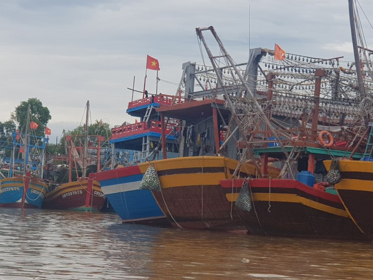 Tàu cá Quảng Bình về bờ hải sản đầy khoang, rác đầy túi để biển không bị ô nhiễm - Ảnh 3. Tàu cá Quảng Bình về bờ hải sản đầy khoang, rác đầy túi để biển không bị ô nhiễm - Ảnh 3.