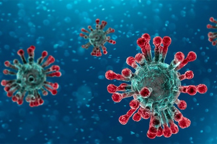 Virus gây bệnh ở trẻ em: Phòng ngừa thế nào để đạt hiệu quả? - Ảnh 2. Virus gây bệnh ở trẻ em: Phòng ngừa thế nào để đạt hiệu quả? - Ảnh 2.