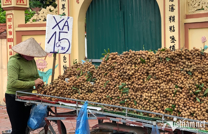 Nhãn ồ ạt xuống phố, giá rẻ bằng mớ rau muống - Ảnh 1. Nhãn ồ ạt xuống phố, giá rẻ bằng mớ rau muống - Ảnh 1.