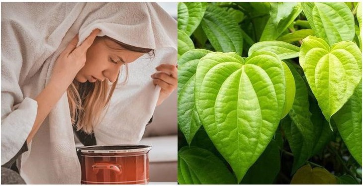 Chia sẻ 5 cách giảm viêm mũi dị ứng - Ảnh 1.