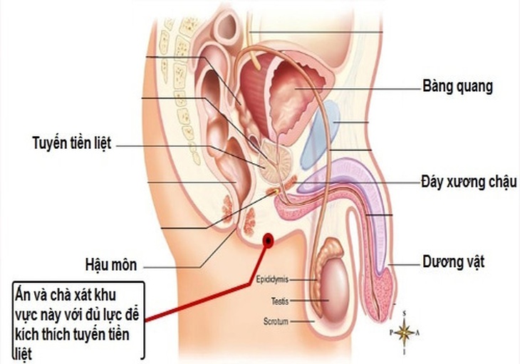 Thủ dâm qua đường hậu môn ở nam giới dưới góc nhìn của bác sĩ nam khoa - Ảnh 2. Thủ dâm qua đường hậu môn ở nam giới dưới góc nhìn của bác sĩ nam khoa - Ảnh 2.