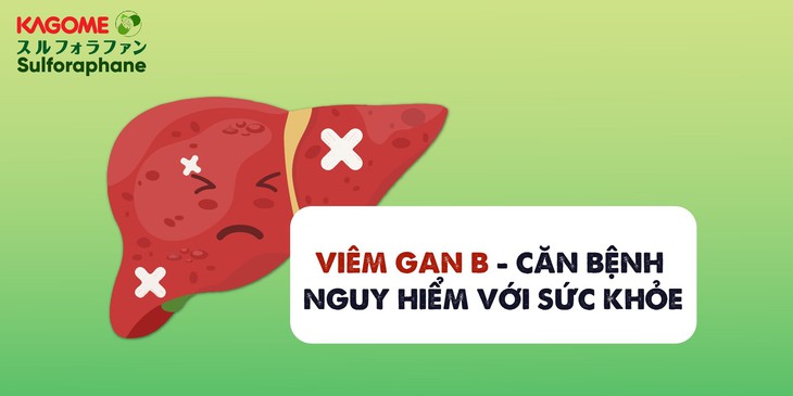 Bệnh viêm gan B và cách phòng tránh - Ảnh 1.