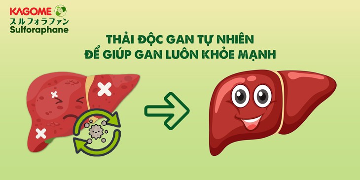 Bệnh viêm gan B và cách phòng tránh - Ảnh 2.