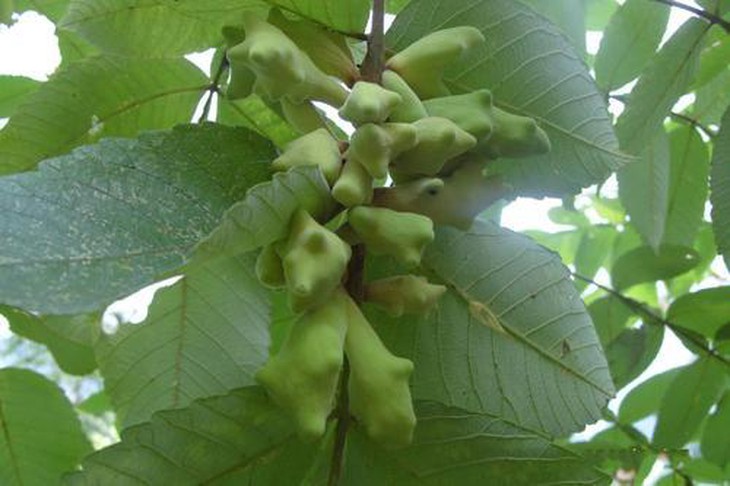 photo-1660825200080
