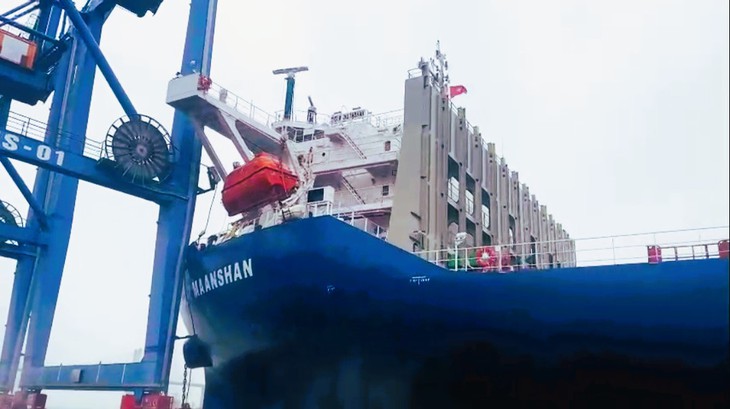Hải Phòng: Trụ cần cẩu Cảng Đình Vũ tạm dừng hoạt động sau cú va của tàu nước ngoài - Ảnh 1.