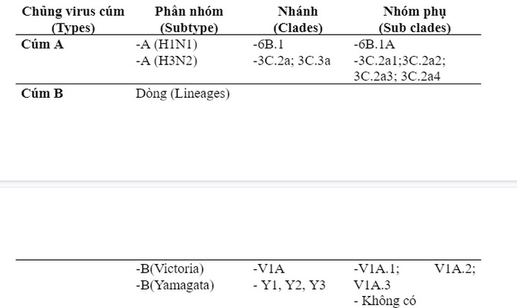 Nguyên tắc đặt tên cúm và vai trò dự phòng của vắc xin cúm hiện nay - Ảnh 3.