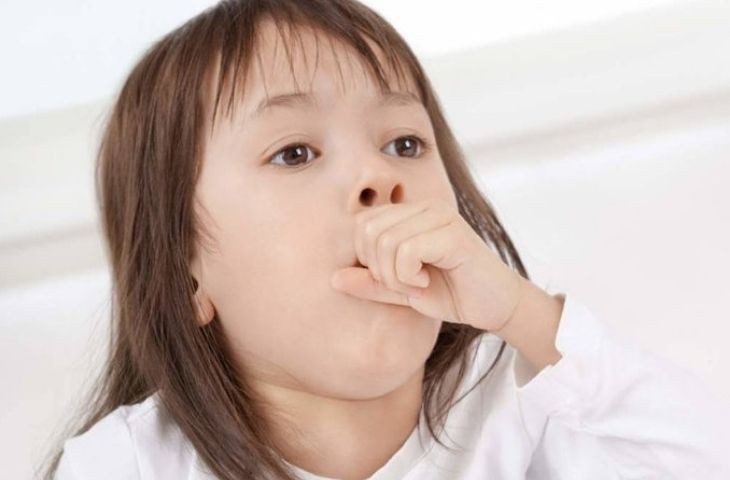 Chăm sóc trẻ bị hen phế quản và cách dự phòng cơn hen - Ảnh 3. Chăm sóc trẻ bị hen phế quản và cách dự phòng cơn hen - Ảnh 3.