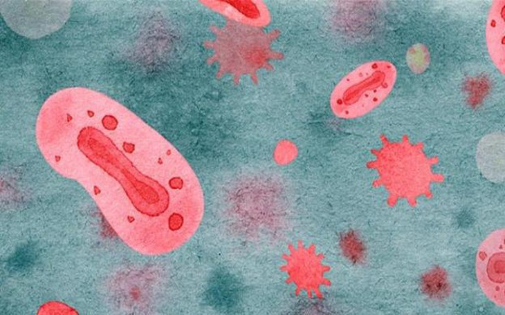 WHO: Đột biến gen của virus đậu mùa khỉ có thể làm trầm trọng thêm sự lây truyền