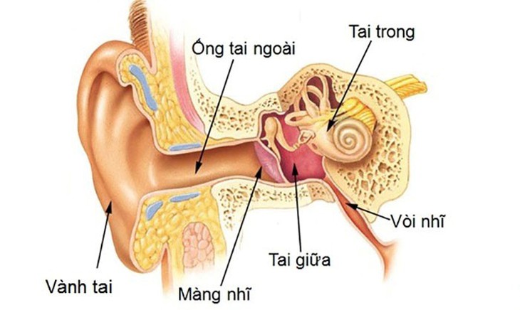 Phân loại nghe kém, các giải pháp hỗ trợ thính giác phù hợp - Ảnh 1.