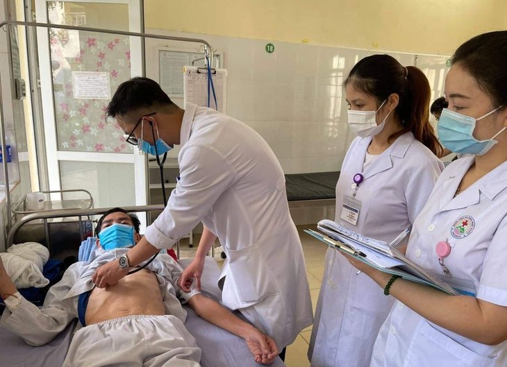 Tử vong do ong vò vẽ đốt - Ảnh 1. Tử vong do ong vò vẽ đốt - Ảnh 1.