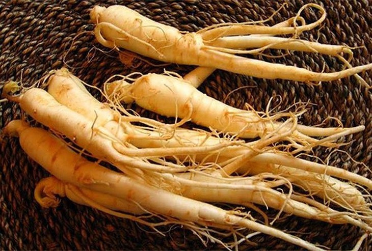 Lưu ý khi dùng nhân sâm làm thuốc bổ - Ảnh 2.
