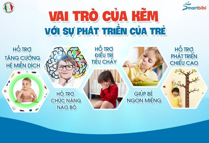Vi chất Kẽm – những điều mẹ chưa biết. - Ảnh 1.
