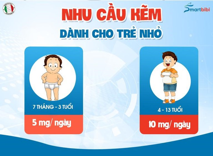 Vi chất kẽm và sự phát triển nhận thức của trẻ - Ảnh 2.