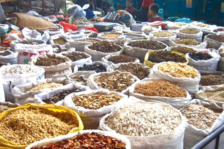Hà Nội yêu cầu thu hồi 2 vị thuốc Đông y không đạt chất lượng - Ảnh 2.