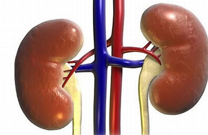 Bệnh thận mạn ở trẻ do nguyên nhân nào và cách nhận biết - Ảnh 2.