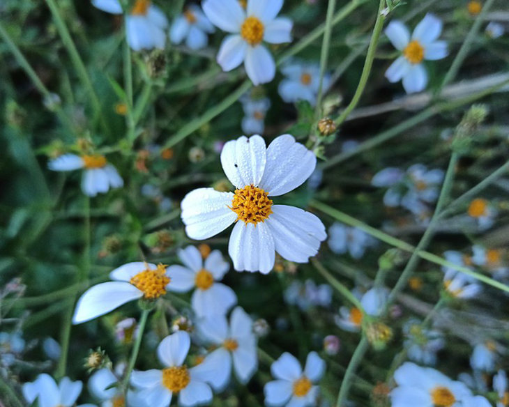 photo-1659601368664