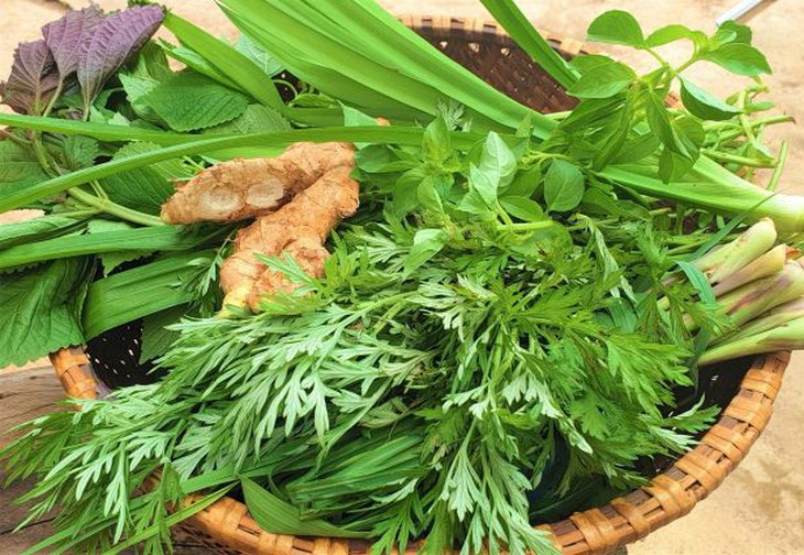 Dùng thuốc nam chữa cảm mạo có lành? - Ảnh 2.