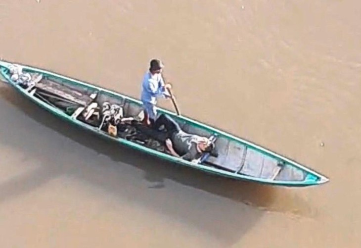 Nhảy cầu tự vẫn trúng ngay chỗ nước cạn, bị gãy chân - Ảnh 1.