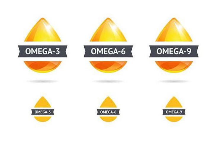Hỗ trợ tăng cường sức khỏe người trung và cao tuổi nên dùng Omega-3 hay Omega-3,6,9? - Ảnh 1.