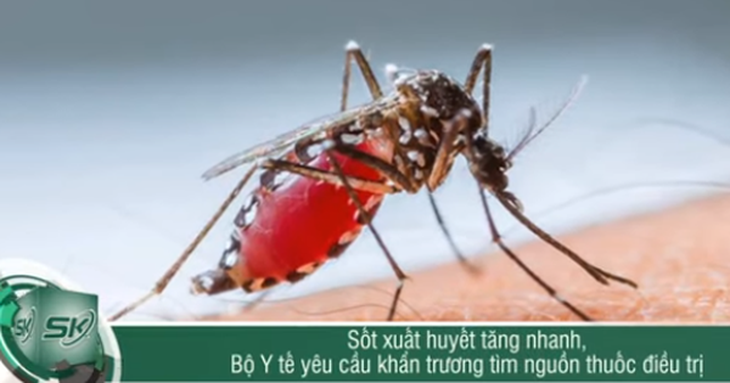 Bộ Y tế đề nghị khẩn trương tìm nguồn thuốc điều trị sốc sốt xuất huyết