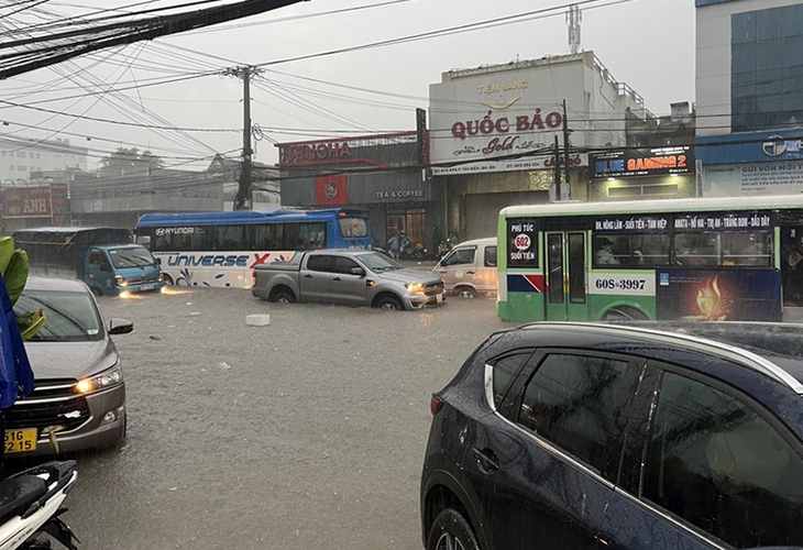 Nhiều phương tiện trôi theo dòng nước siết sau cơn mưa lớn ở Đồng Nai - Ảnh 2.