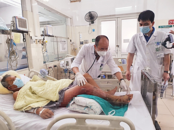 Lão nông nuôi tôm mắc phải loại vi khuẩn dễ gây suy đa tạng, tỉ lệ tử vong cao - Ảnh 1.