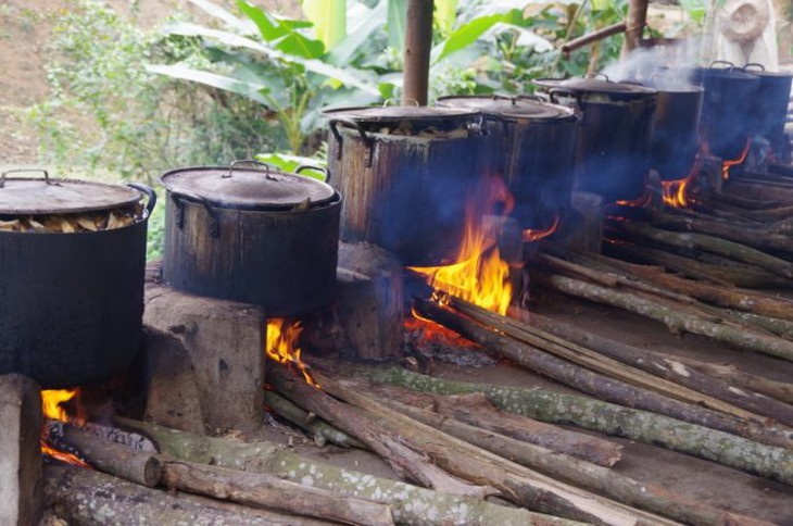 Nhiều bí ẩn từ những bài thuốc của người Dao chưa được khám phá hết - Ảnh 3.