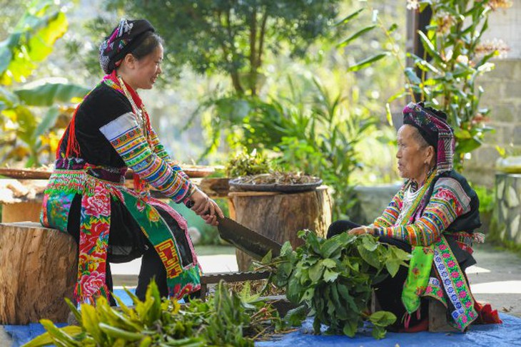 Cô giáo người Dao khởi nghiệp bằng tình yêu với bài thuốc cổ truyền - Ảnh 2. Cô giáo người Dao khởi nghiệp bằng tình yêu với bài thuốc cổ truyền - Ảnh 2.
