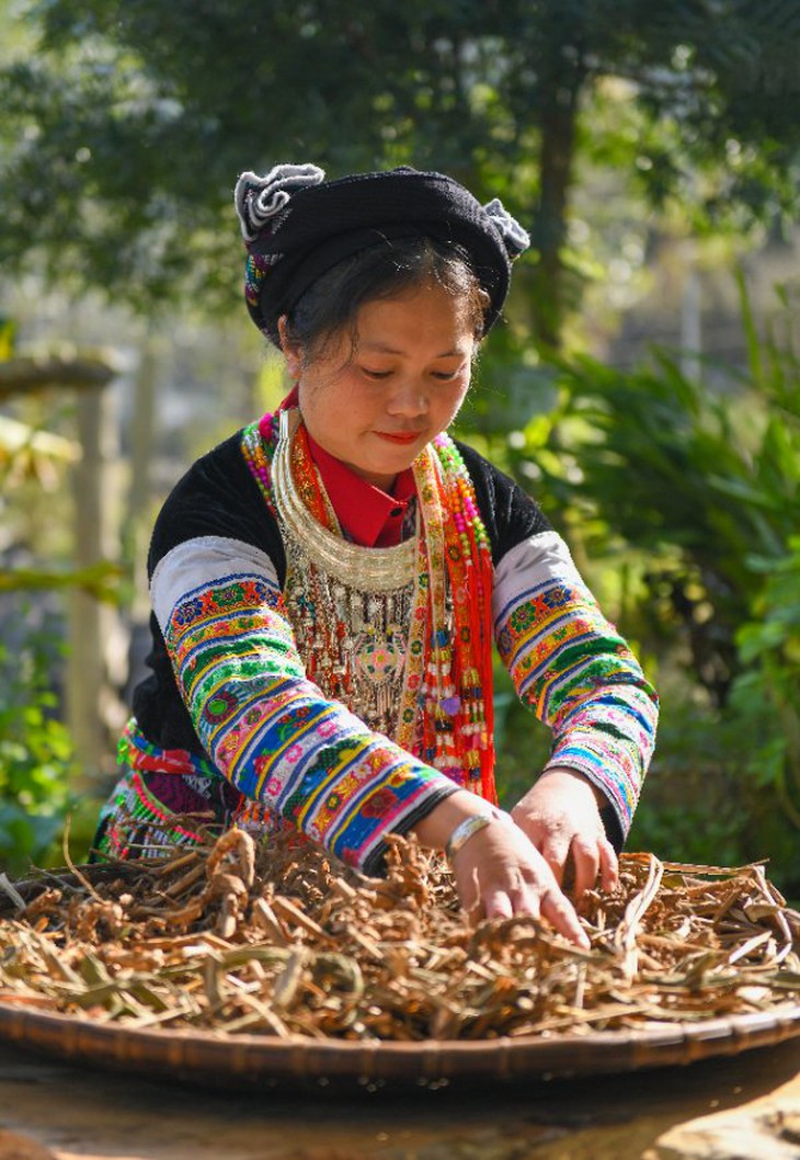 Cô giáo người Dao khởi nghiệp bằng tình yêu với bài thuốc cổ truyền - Ảnh 4. Cô giáo người Dao khởi nghiệp bằng tình yêu với bài thuốc cổ truyền - Ảnh 4.